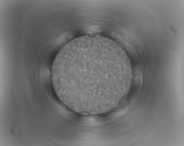 X0000115400523200911241309