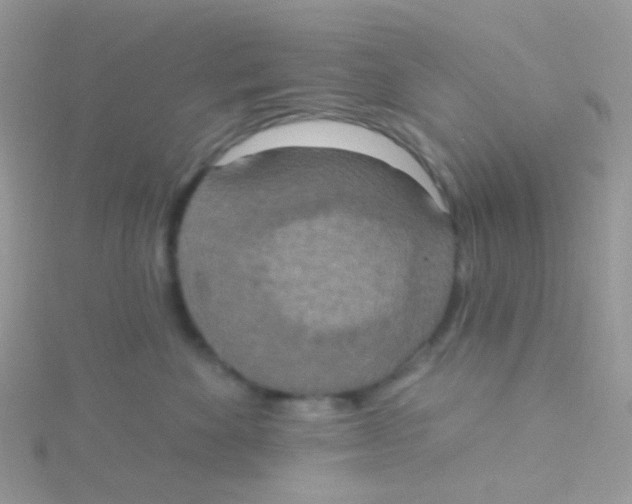 X0000115400524200911241309