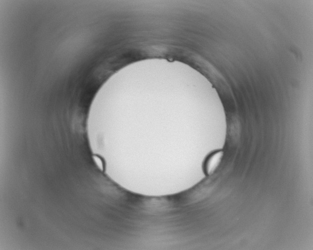 X0000115400525200911241309
