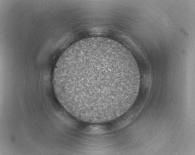 X0000115400557200911241309