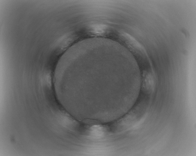 X0000115400562200911241309