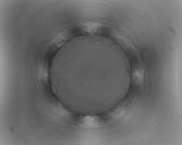 X0000115400566200911241309