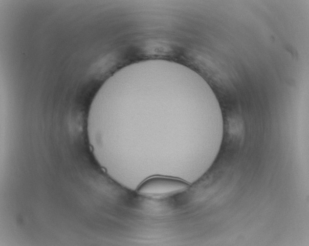 X0000115400567200911241309