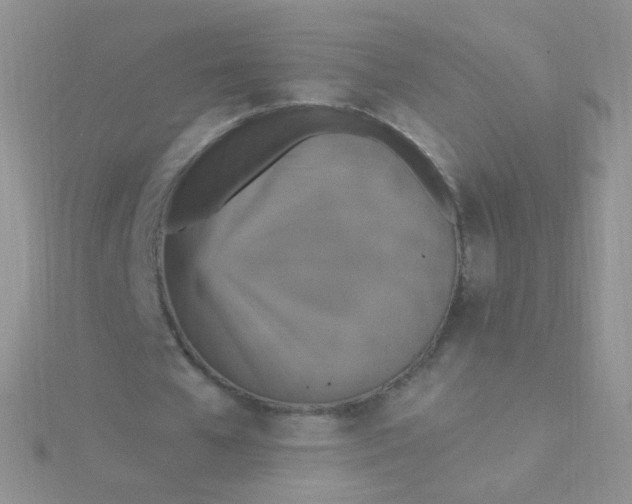 X0000115400577200911241309