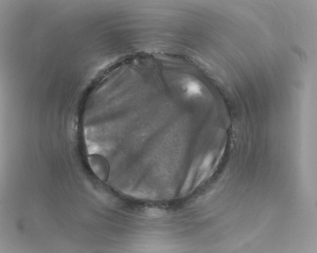 X0000115400592200911241308