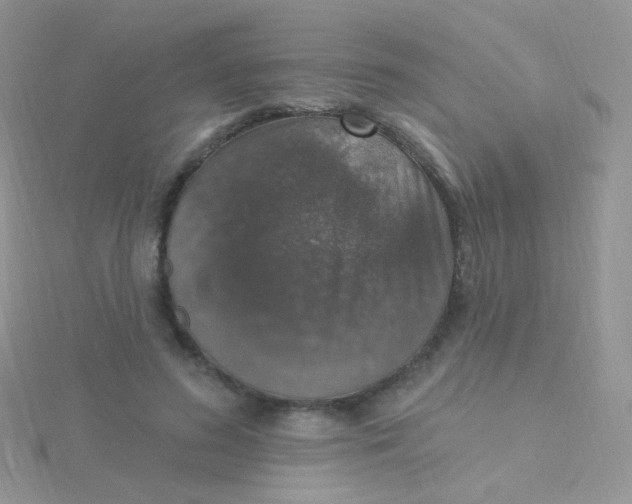 X0000115400596200911241308