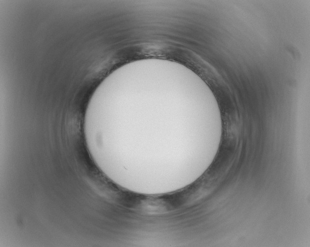 X0000115400603200911241308