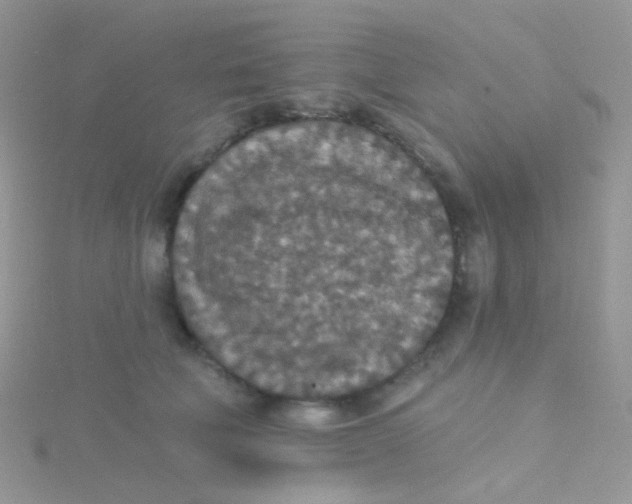 X0000115400610200911241308