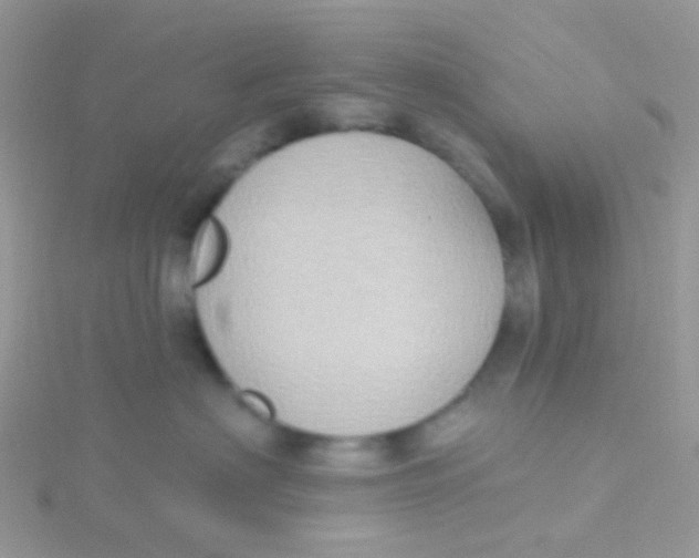 X0000115400622200911241308