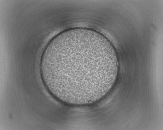 X0000115400625200911241307