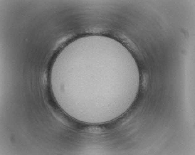 X0000115400636200911241308