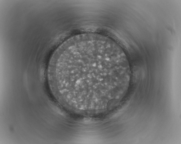 X0000115400641200911241308