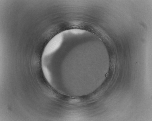 X0000115400653200911241308