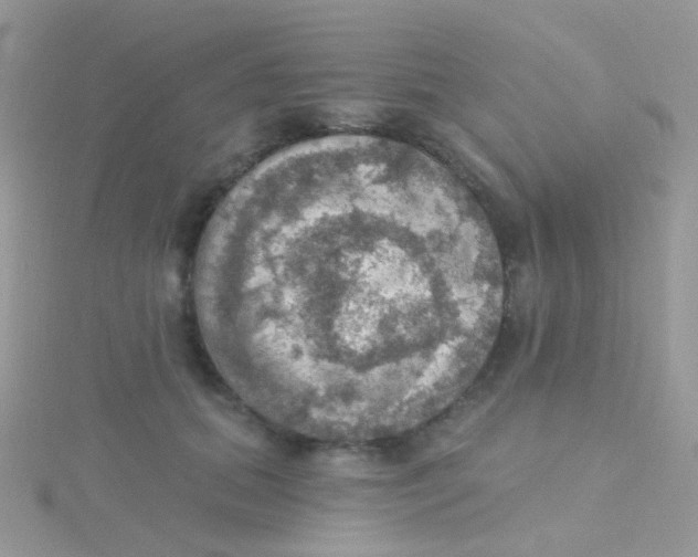 X0000115400655200911241308