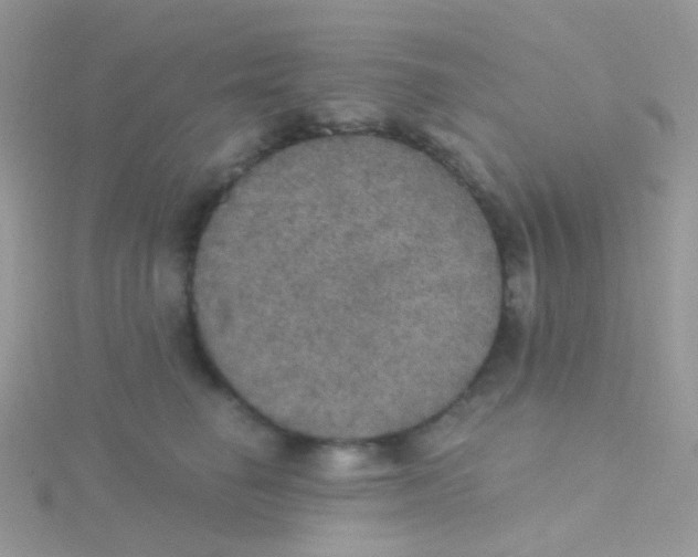 X0000115400662200911241308