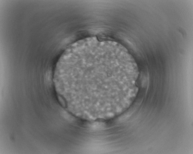 X0000115400670200911241308