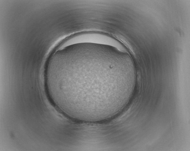 X0000115400676200911241307