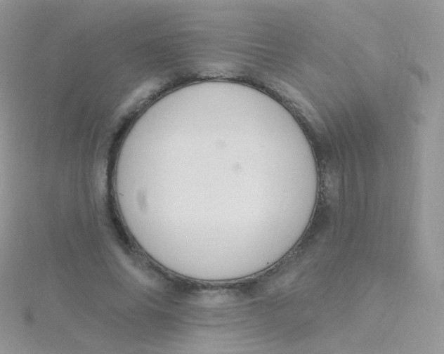 X0000115400686200911241307
