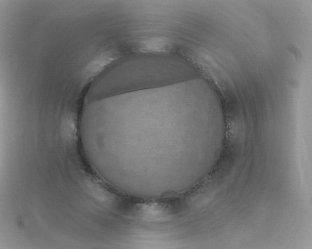 X0000115400688200911241307