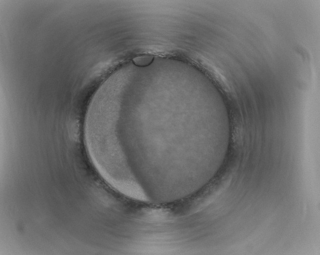 X0000115400689200911241307