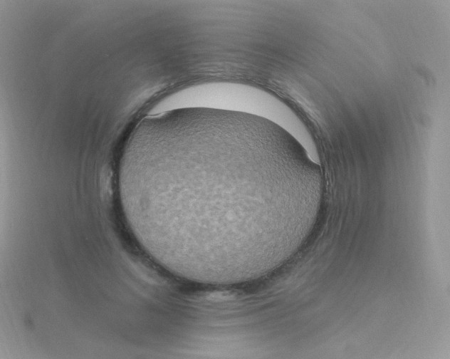 X0000115400692200911241307