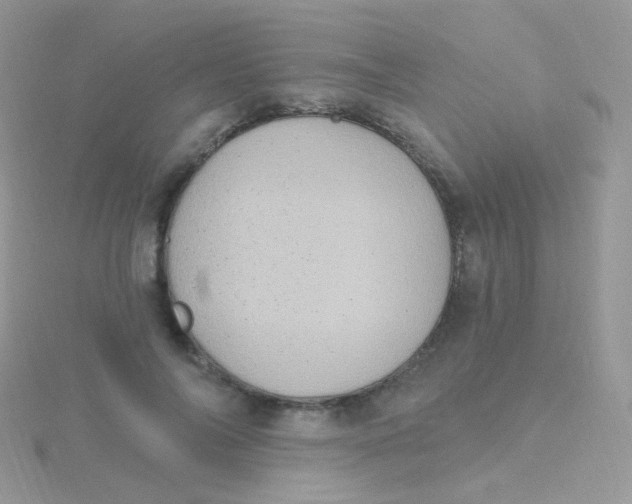 X0000115400694200911241307