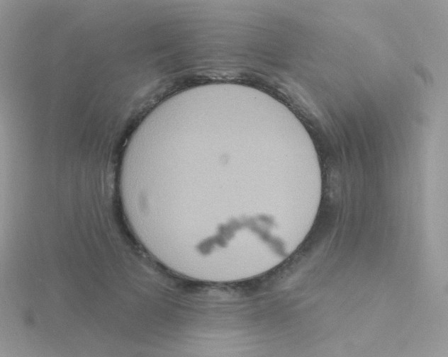 X0000115400697200911241307