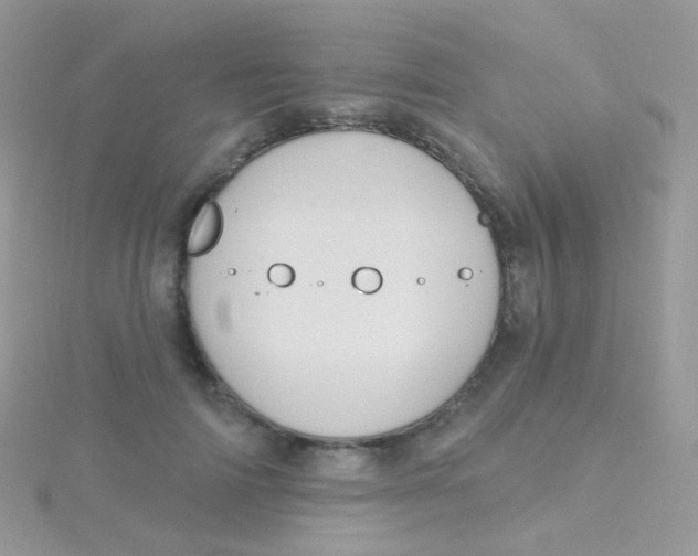 X0000115400698200911241307