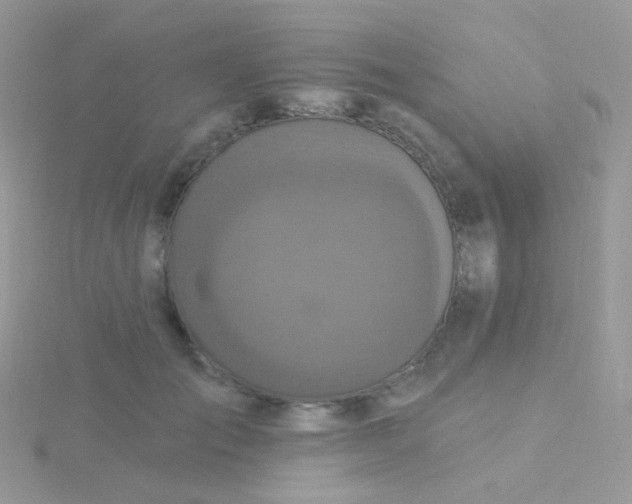 X0000115400701200911241307