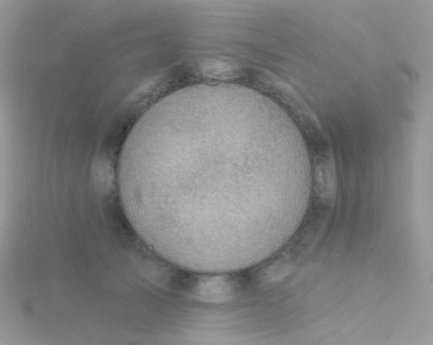 X0000115400705200911241307