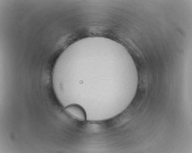 X0000115400706200911241307