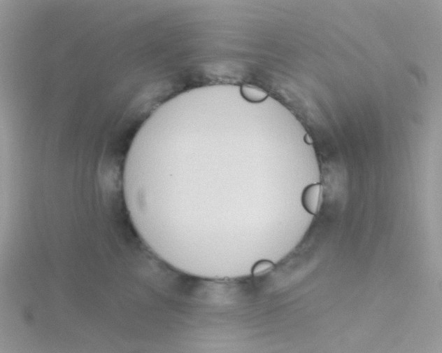 X0000115400713200911241307