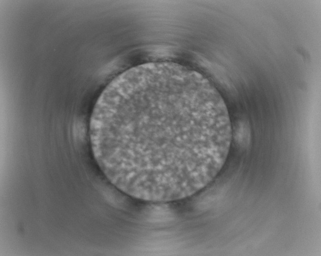 X0000115400715200911241307