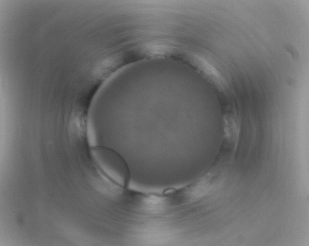 X0000115400718200911241307