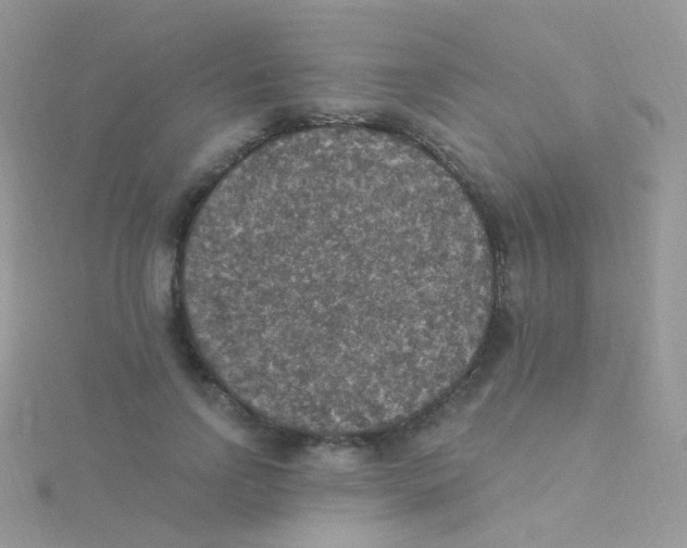 X0000115400742200911241306
