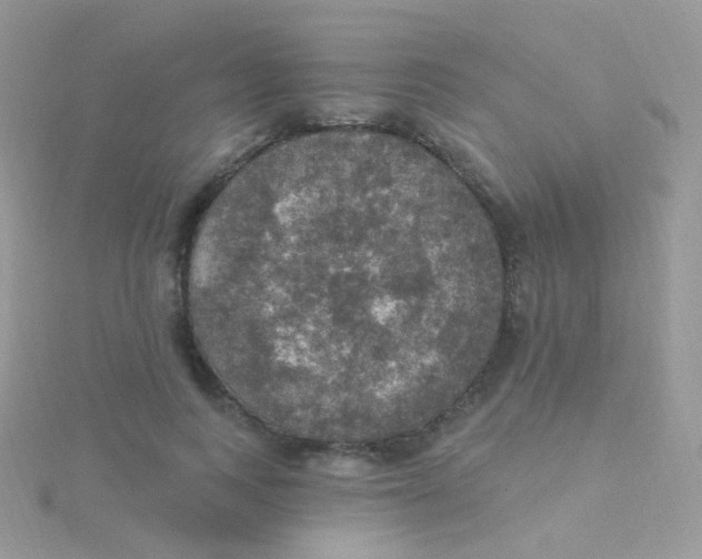 X0000115400743200911241306