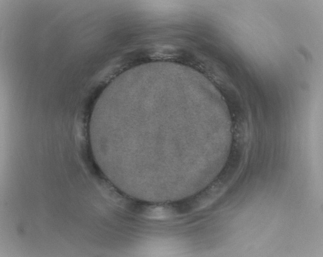 X0000115400755200911241307