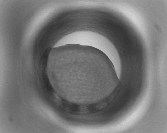 X0000115400766200911241307