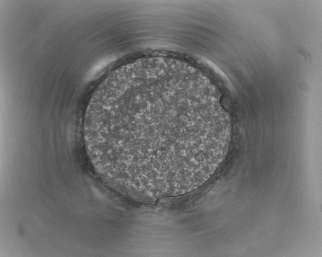 X0000115400775200911241306