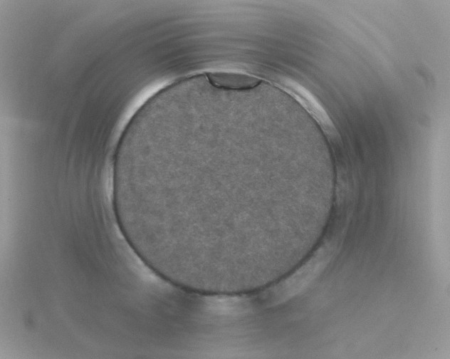 X0000115400804200911241306