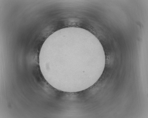 X0000115400820200911241305