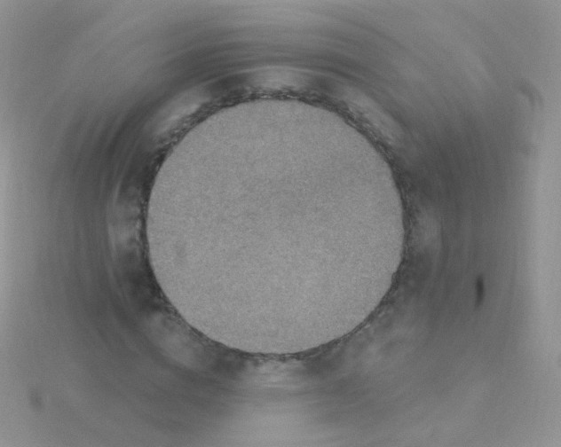 X0000115400824200911241305