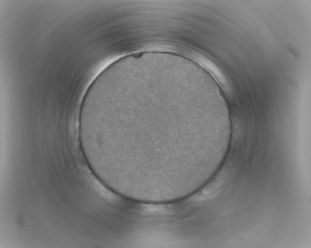X0000115400852200911241305
