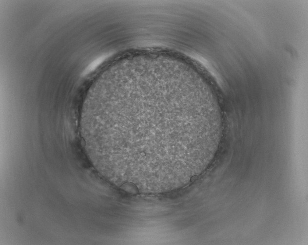 X0000115400871200911241305