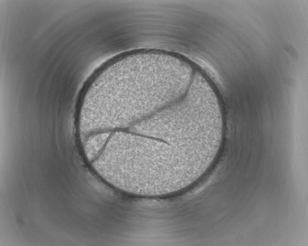 X0000115400880200911241305