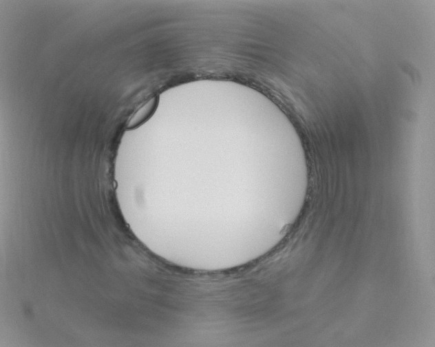 X0000115400964200911241303
