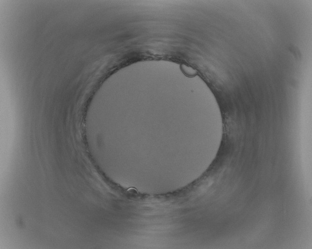 X0000115401009200911241302