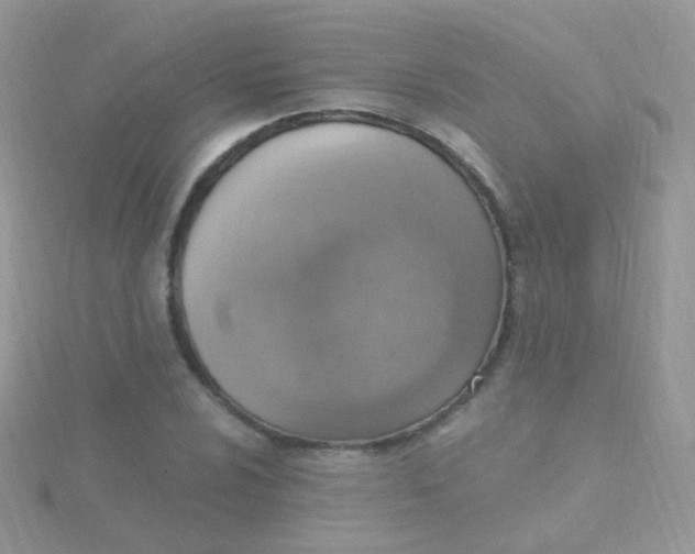 X0000115401024200911241303