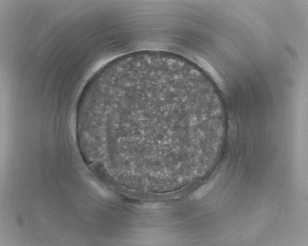X0000115401035200911241303