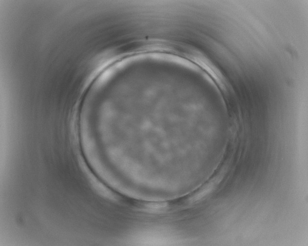 X0000115401055200911241303